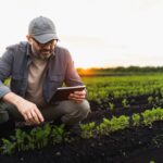 تنبيه زراعي | تقلبات في الطقس تؤثر على بعض المحاصيل